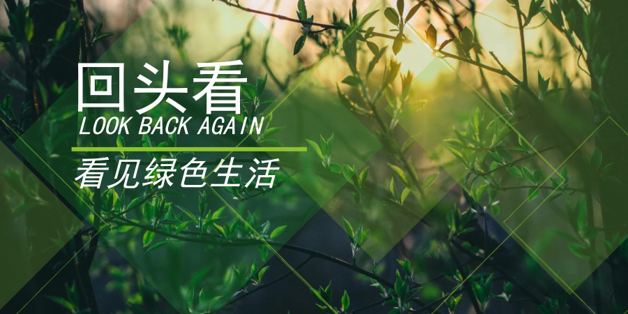 又上热搜又上头条，环保部门查出什么了？